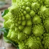 romanesco