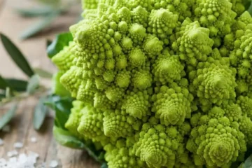 romanesco