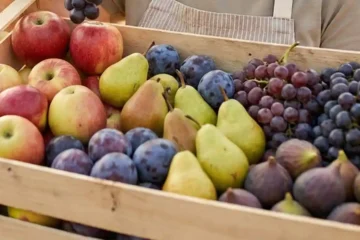 frutas do outono