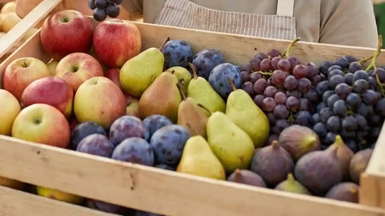 frutas do outono