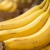 tipos de banana