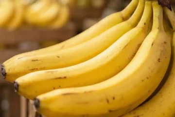 tipos de banana