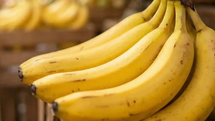 tipos de banana