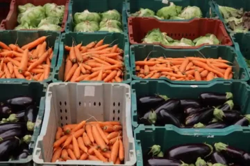 Intoxicação por agrotóxicos